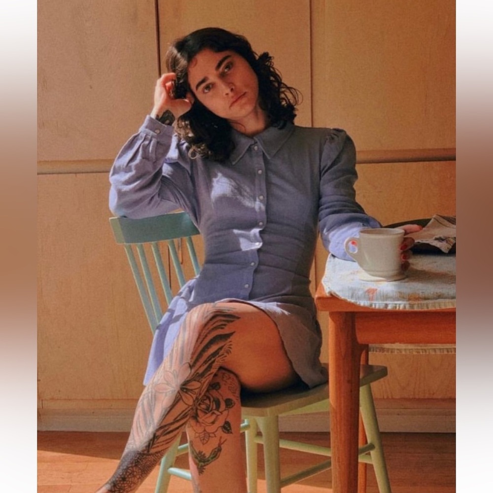 Fashion brand company blue button down mini dress